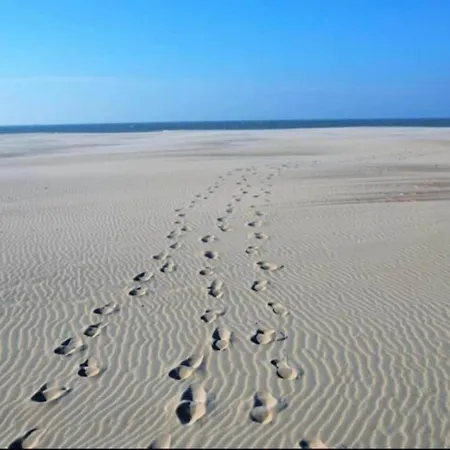 In Near Sandy Nieuwpoort